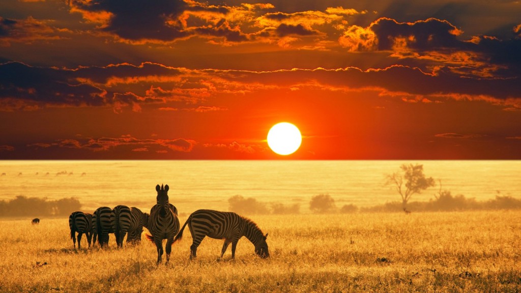 south-africa-safari-sunset